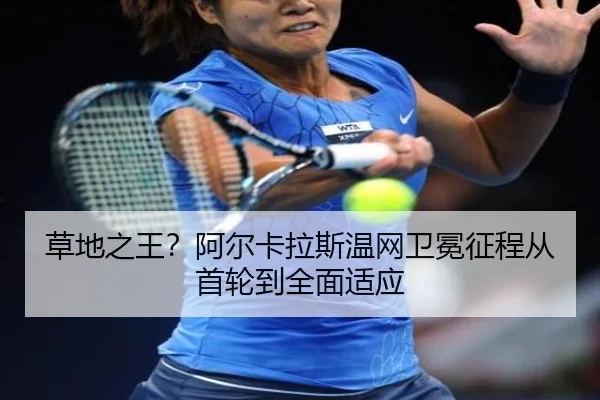 cao-di-zhi-wang-a-er-ka-la-si-wen-wang-wei-mian-zheng-cheng-cong-shou-lun-dao-quan-mian-shi-ying-2-218.jpg